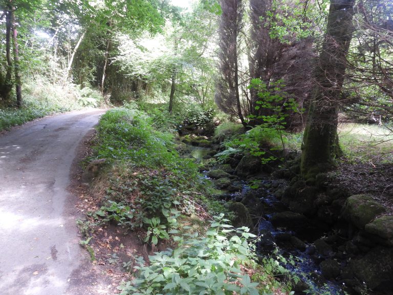 7. Forder Brook