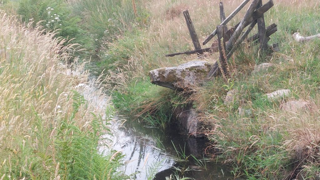 7. Sheep Leap a