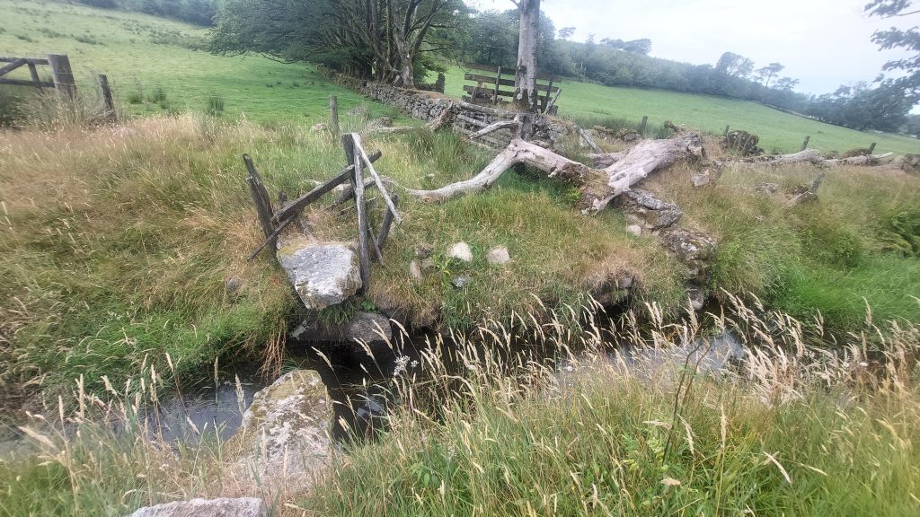 7. Sheep Leap b