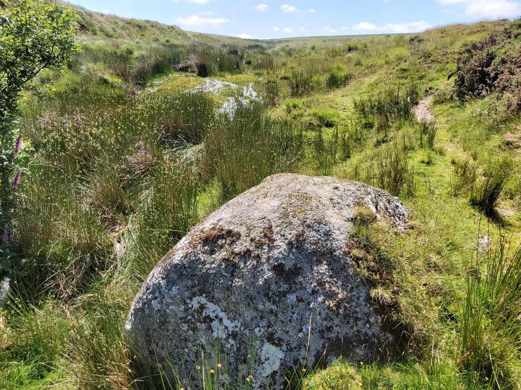 7a. Boundary Rock - SX62842 89719