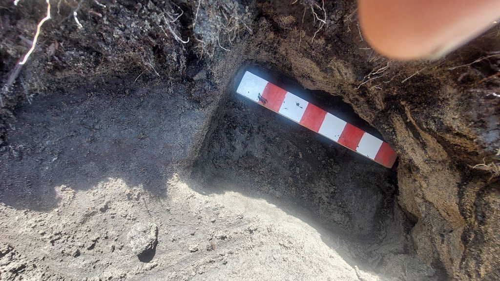 7a. C - Mould Stone - buried - measure a