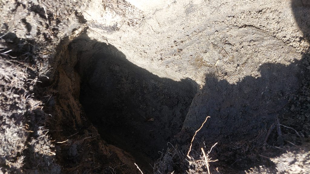 7c. C - Mouldstone - buried a