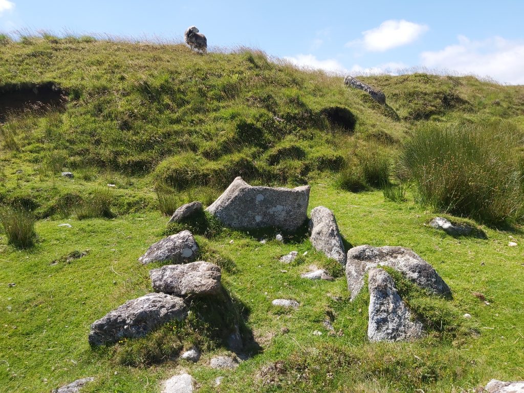 7c. Tinners Hut - SX62853 89773