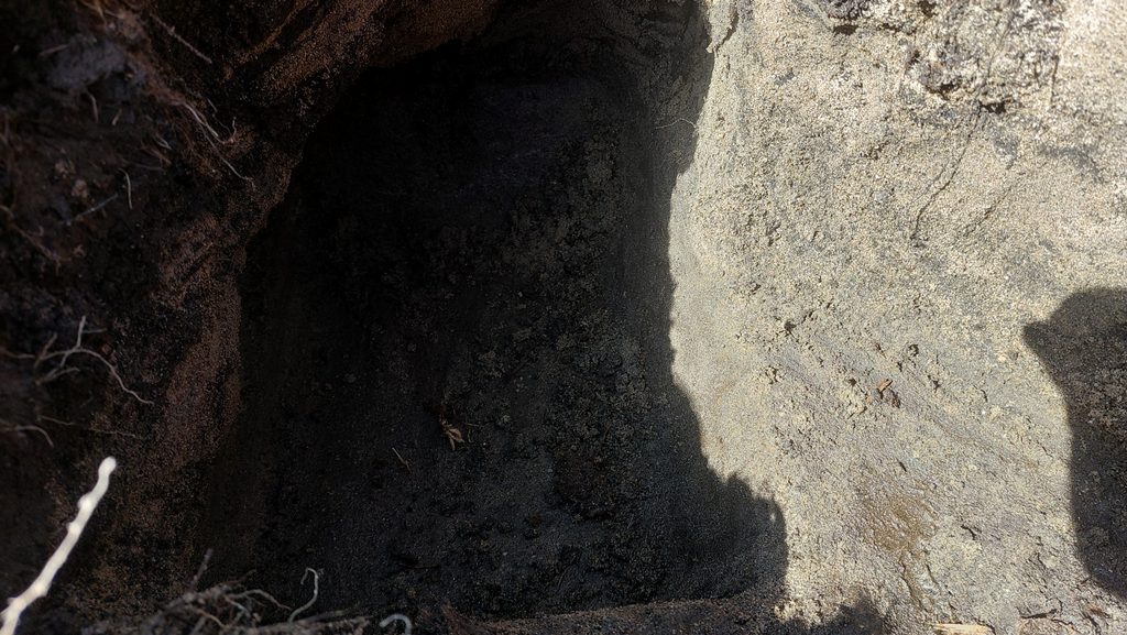 7d. C - Mouldstone - buried b