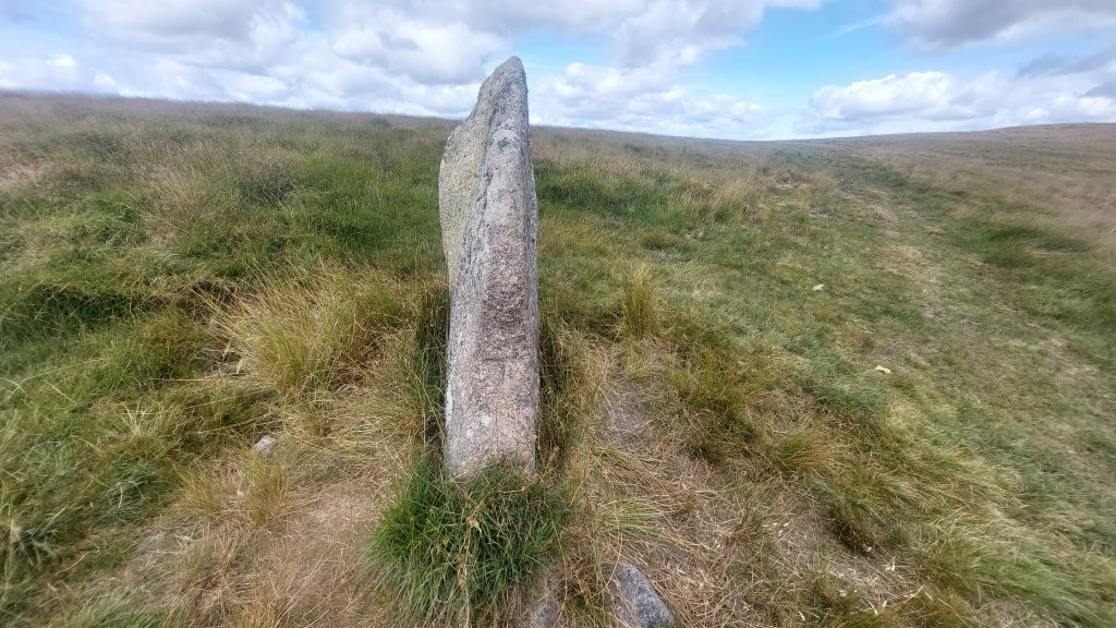8c. White Moor Stone T