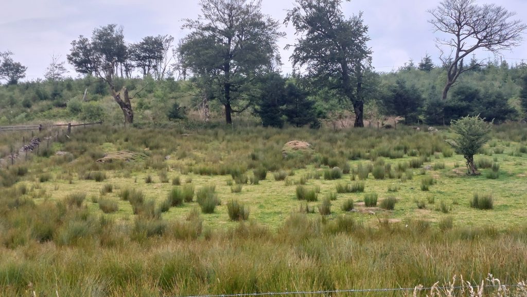 9. View of Pillow Mounds
