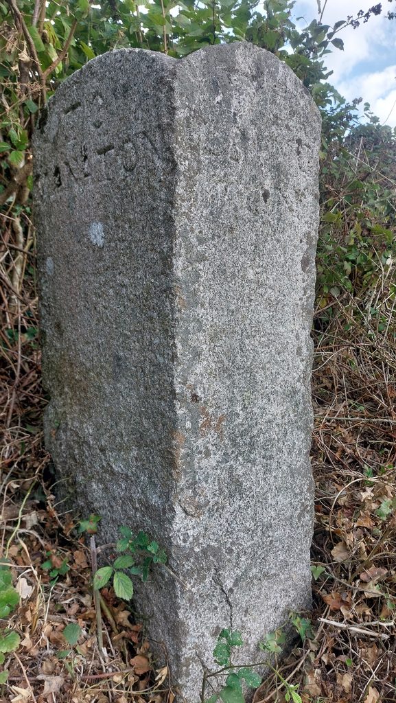 3. To Manaton and To Ilsington