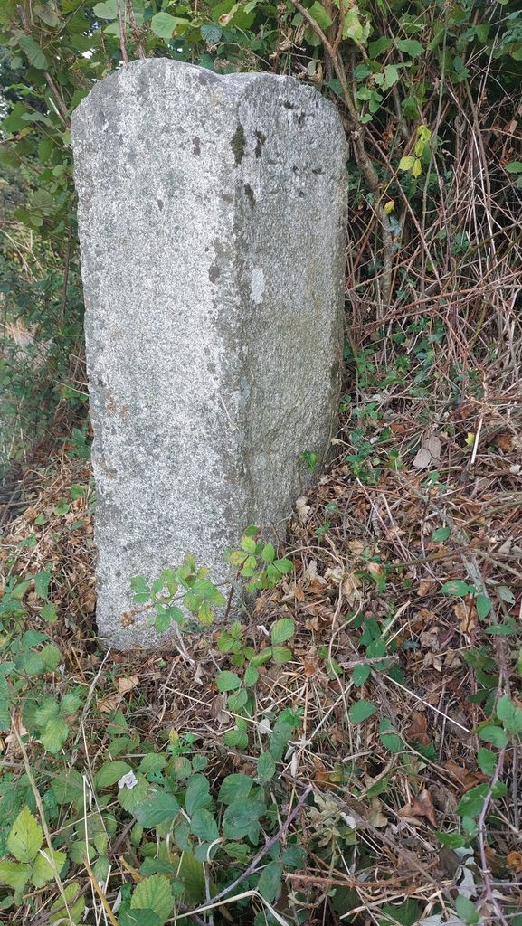 4. To Ilsington and To Newton