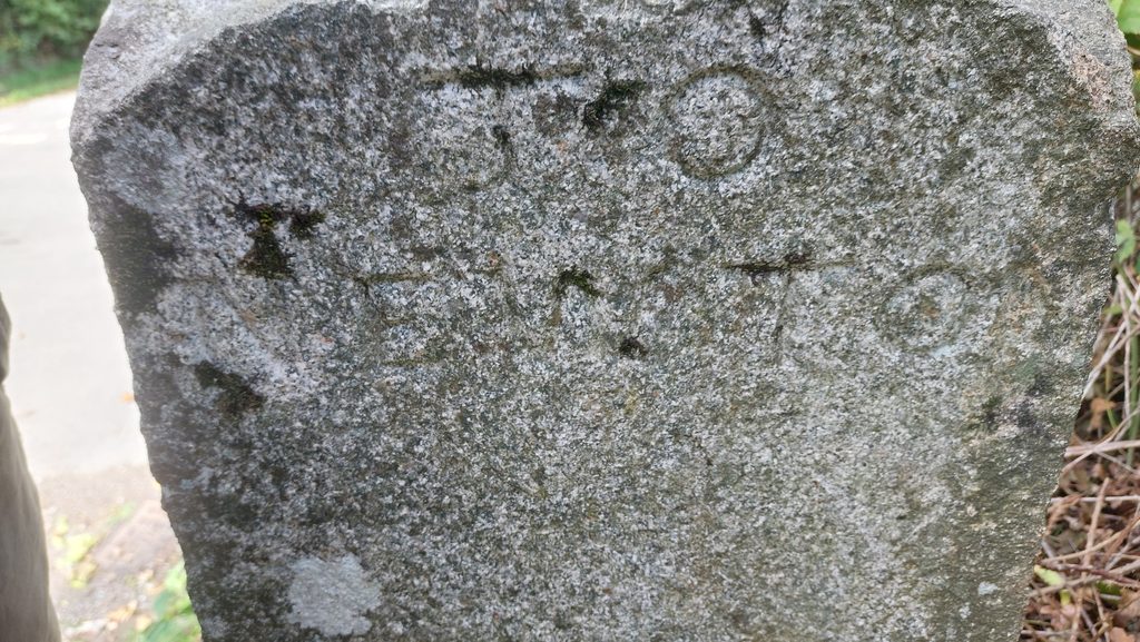 7. To Newton