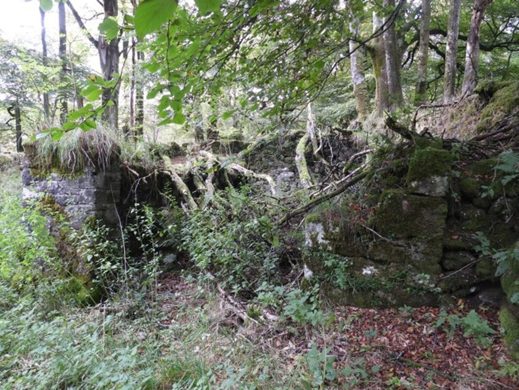 11a. Western Outbuilding at Fernworthy