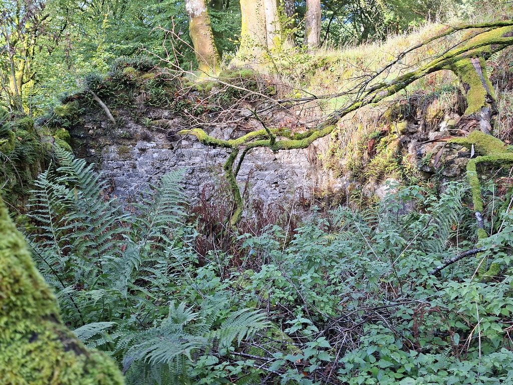 11c. Western Outbuilding at Fernworthy