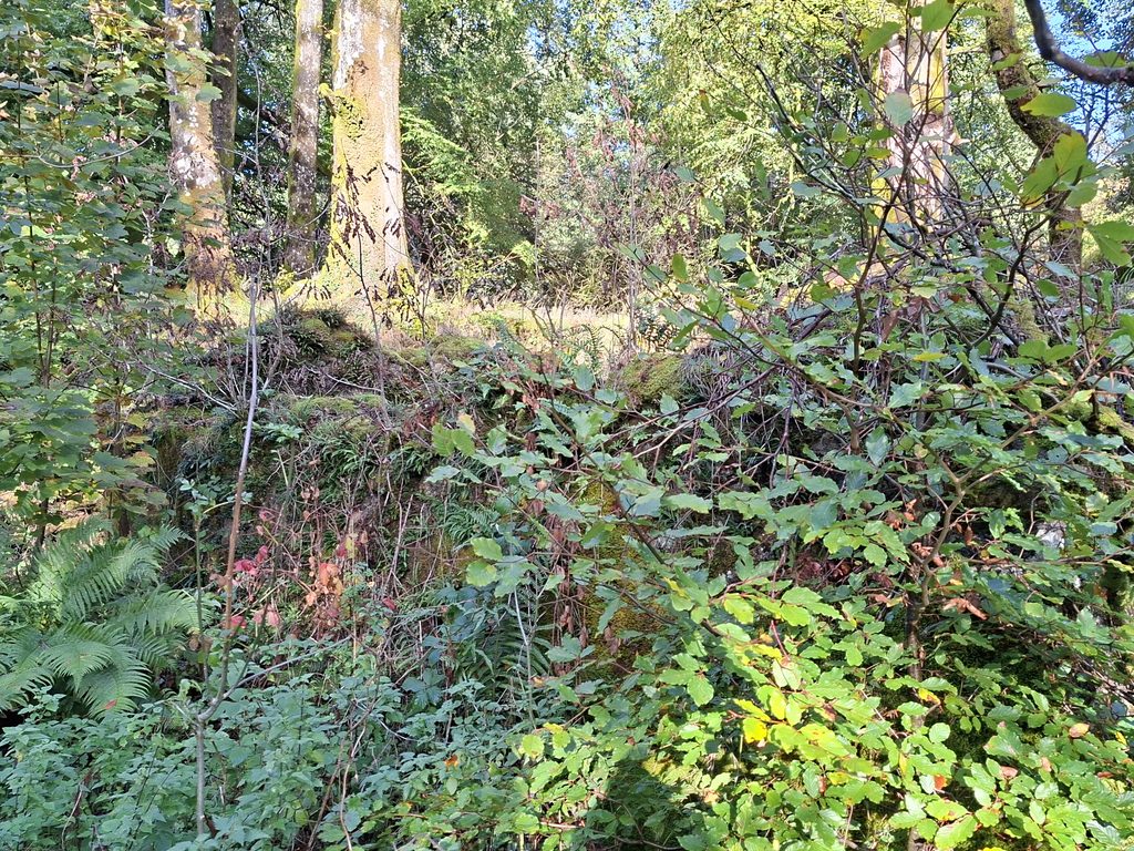 11d. Western Outbuilding at Fernworthy