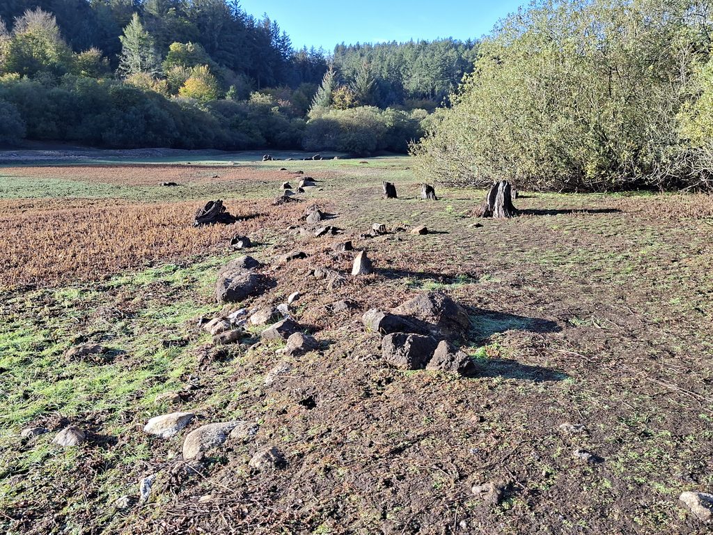 12. Old Wall