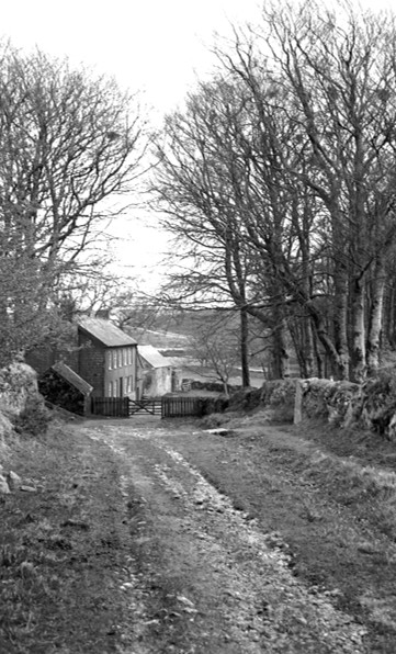 12a. Fernworthy Lane b&w