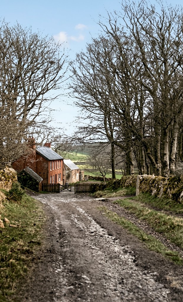 12b. Fernworthy Lane colour