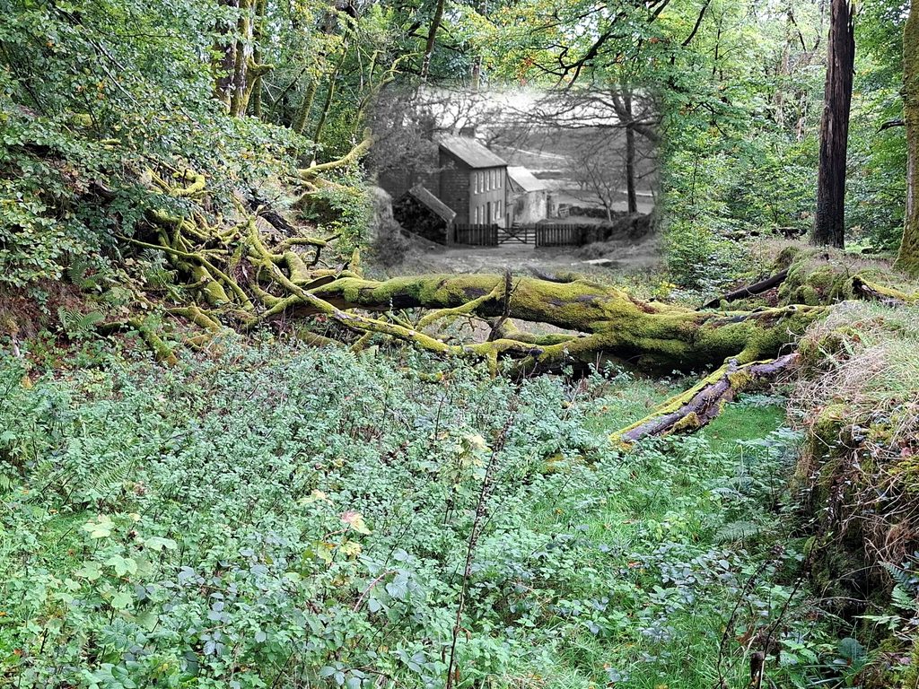 13c. Fernworthy Lane - October 2026 with 1933 photograph superimposed