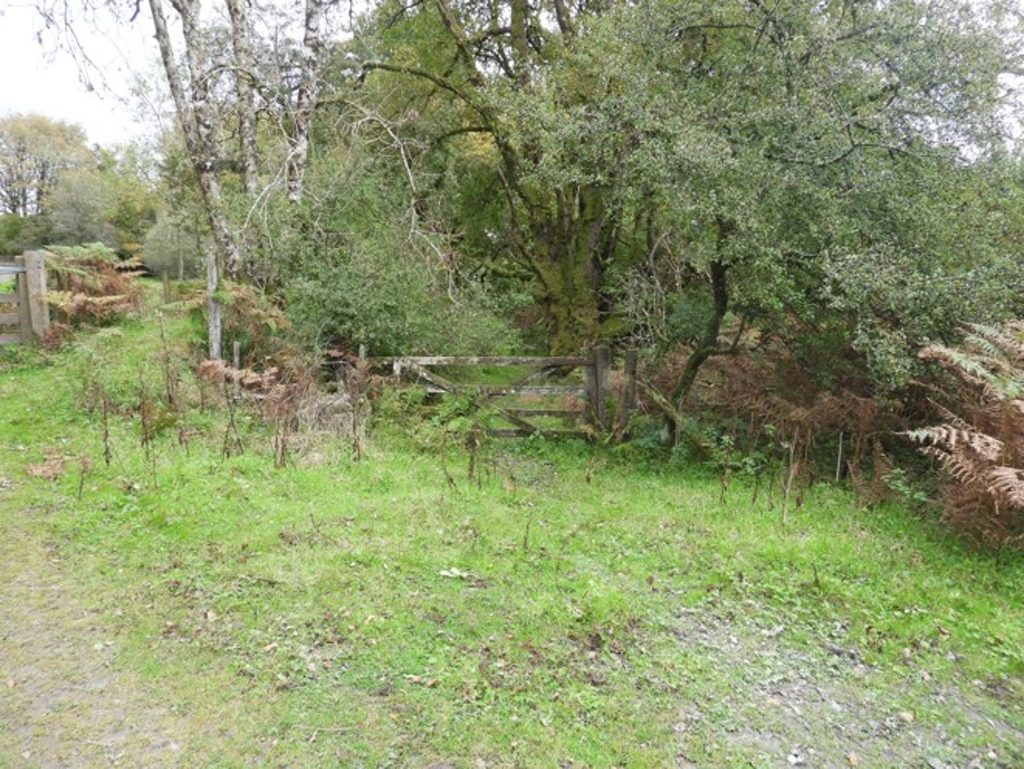 15. End of the original lane at west end
