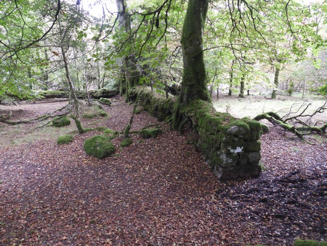 17b. Fernworthy Enclosures