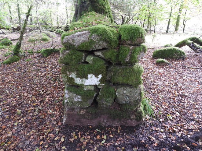17c. Fernworthy Enclosures
