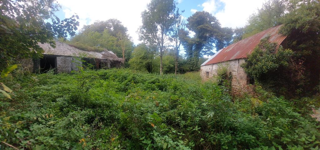 2. Barn and Shippon