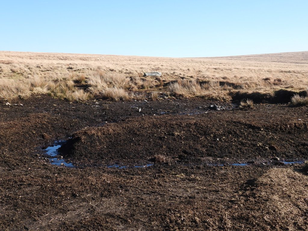 2. Crash Site from the South