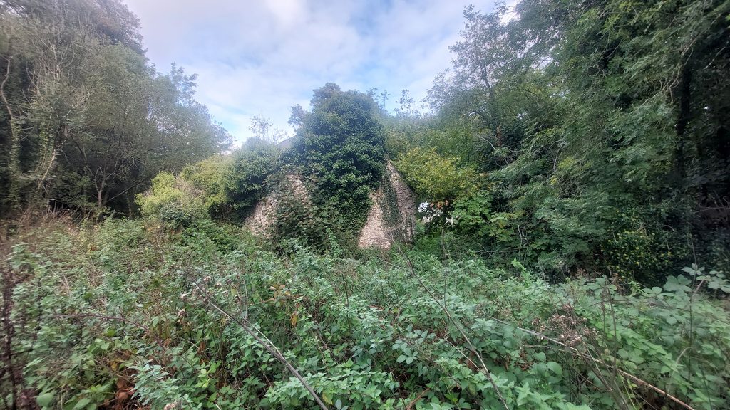 3. Overgrown Barn