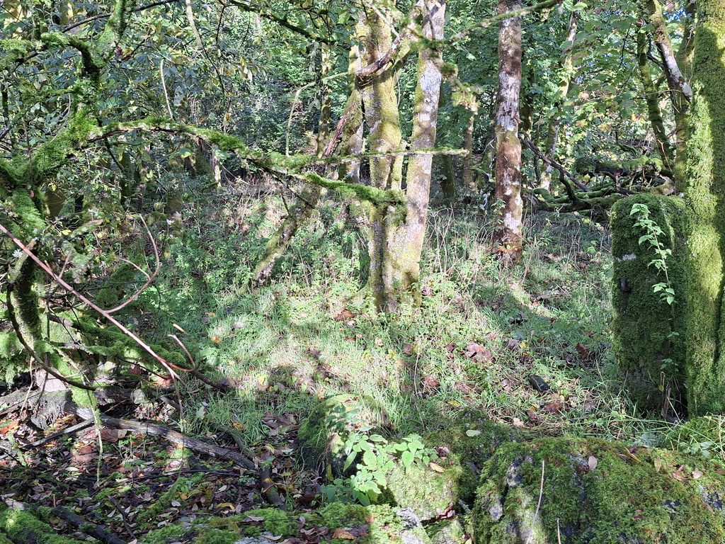 4a. Gatepost