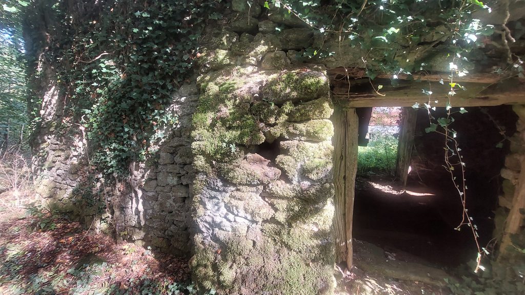 5. Barn 1
