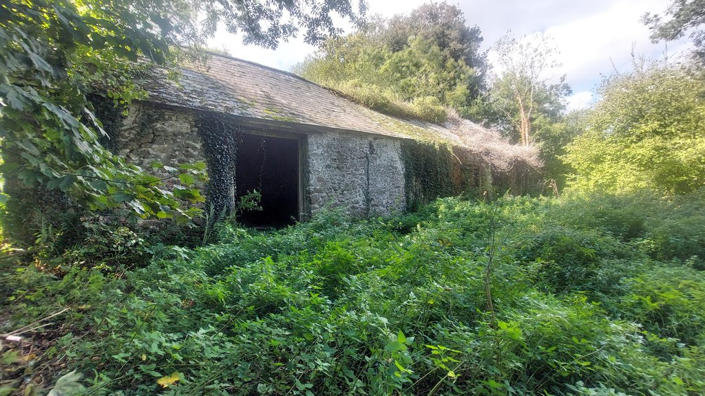 5. Barn 4