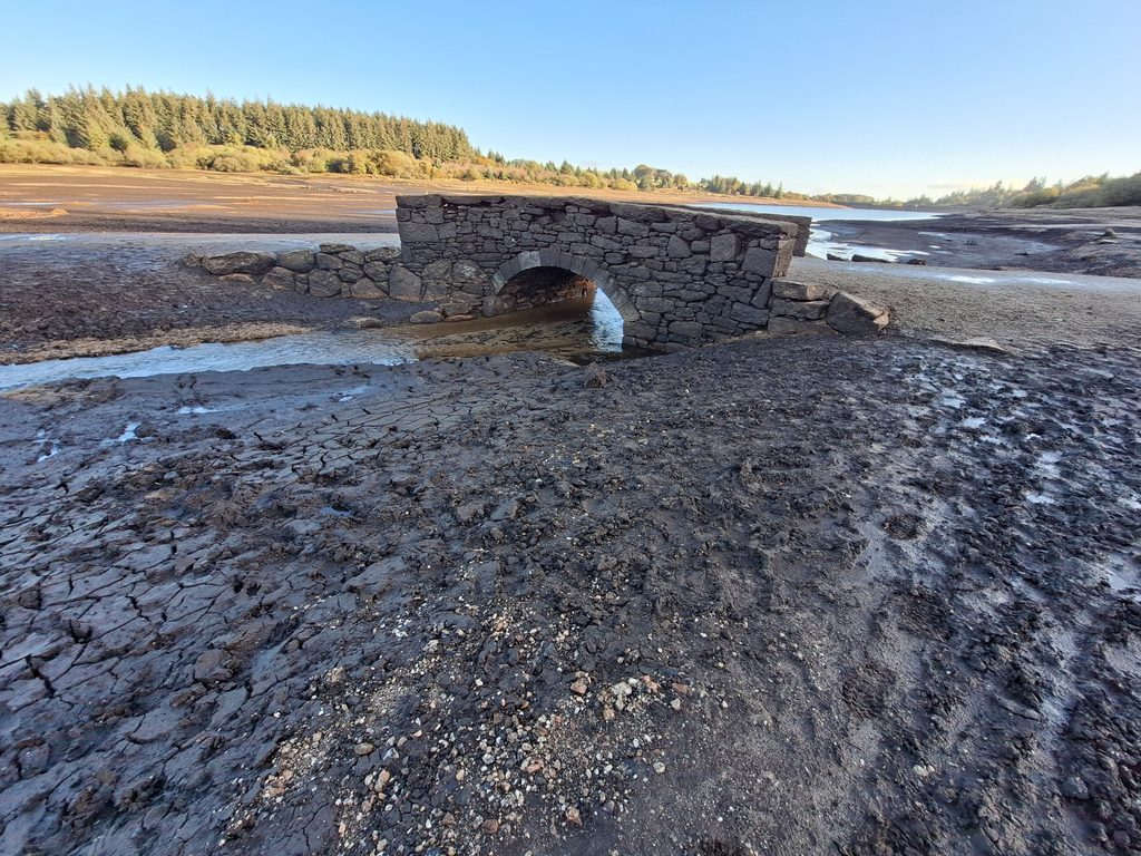 6. Bridge a
