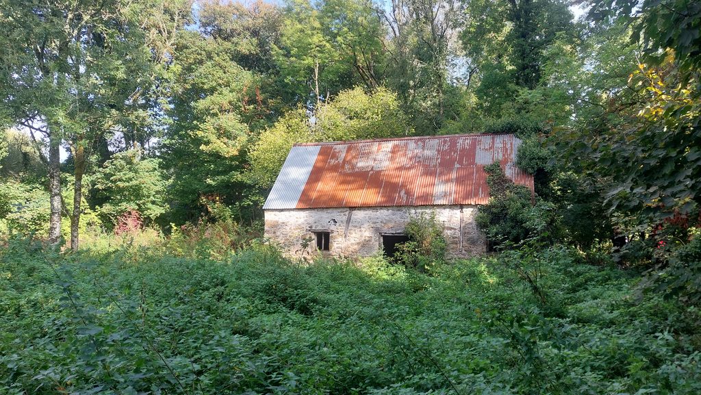 7. Overgrown Shippon